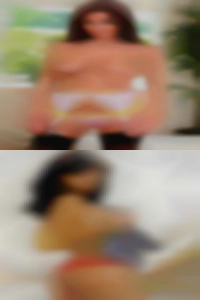 Florida naked girls trying to fuck.